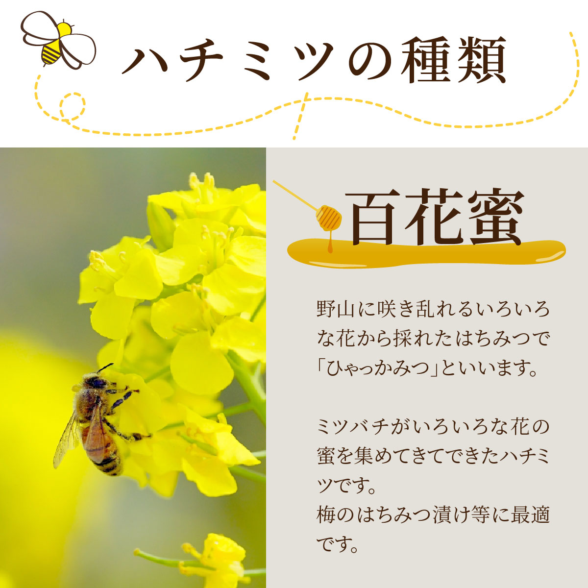 はちみつ　国産　百花蜜