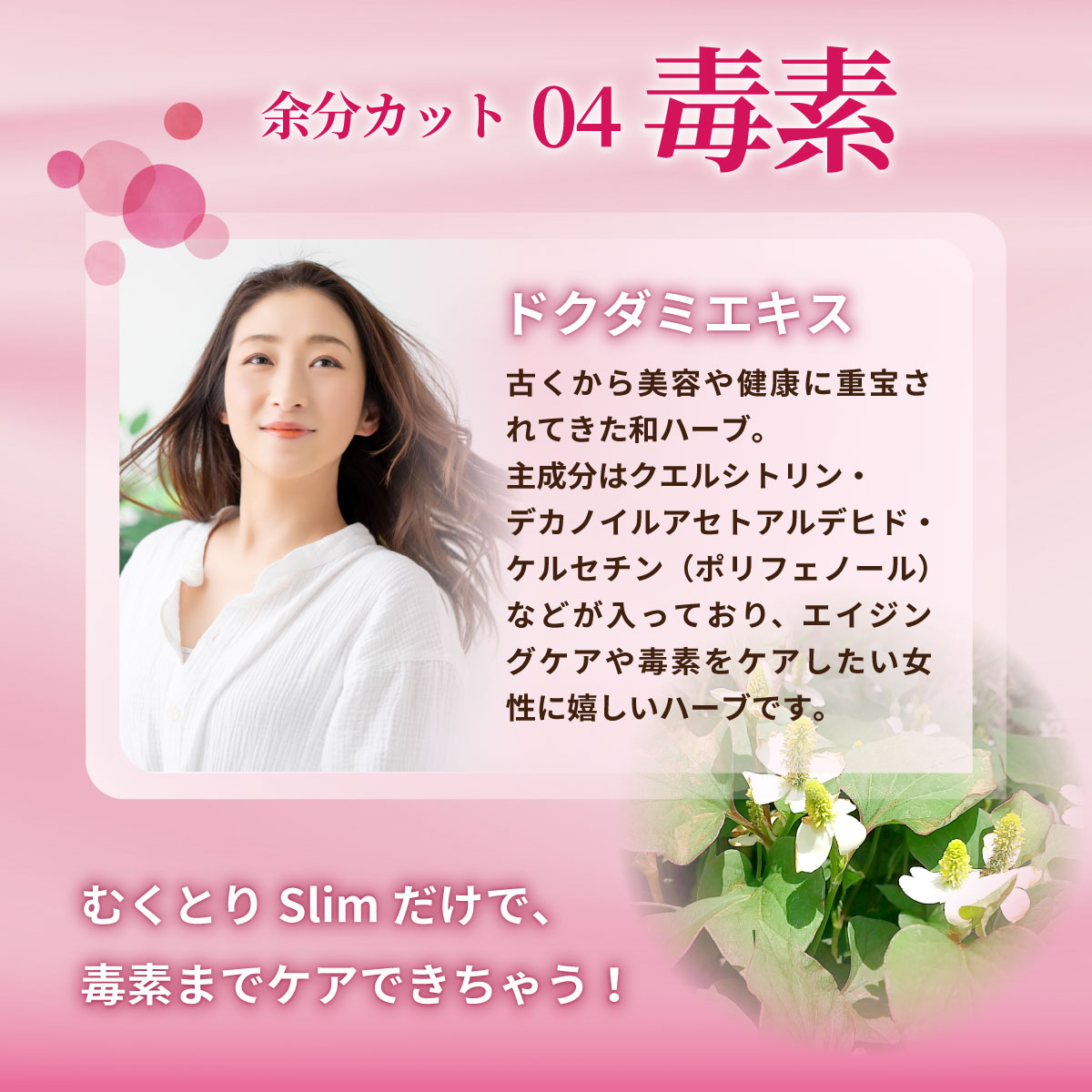 カリウム　どくだみ　サラシア　コーンシルク　ダイエットサプリ