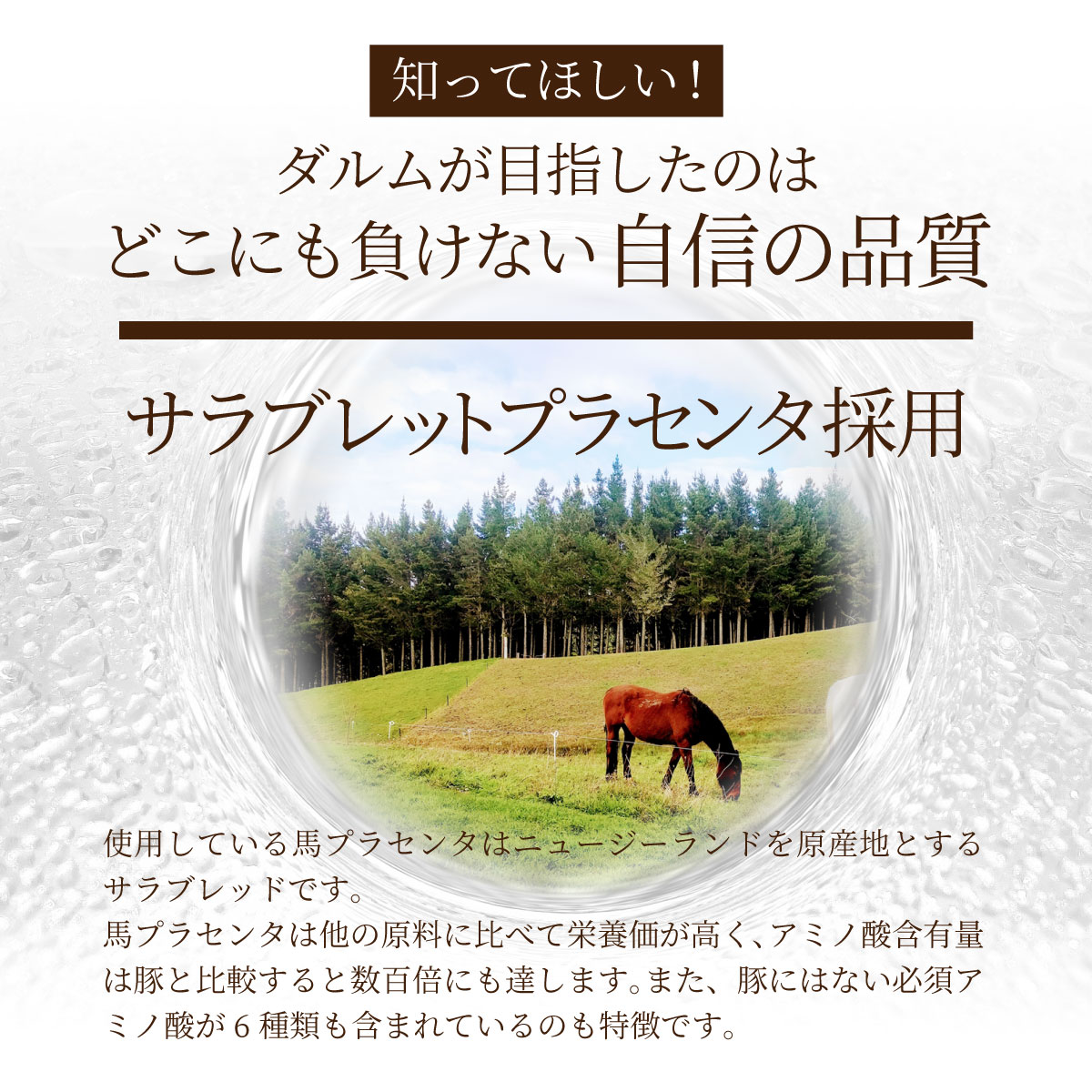 プラセンタ　馬プラセンタ　豚プラセンタ　胎盤　潤い　肌　シミ　しわ　ハリ　美容　エイジングケア　EGF