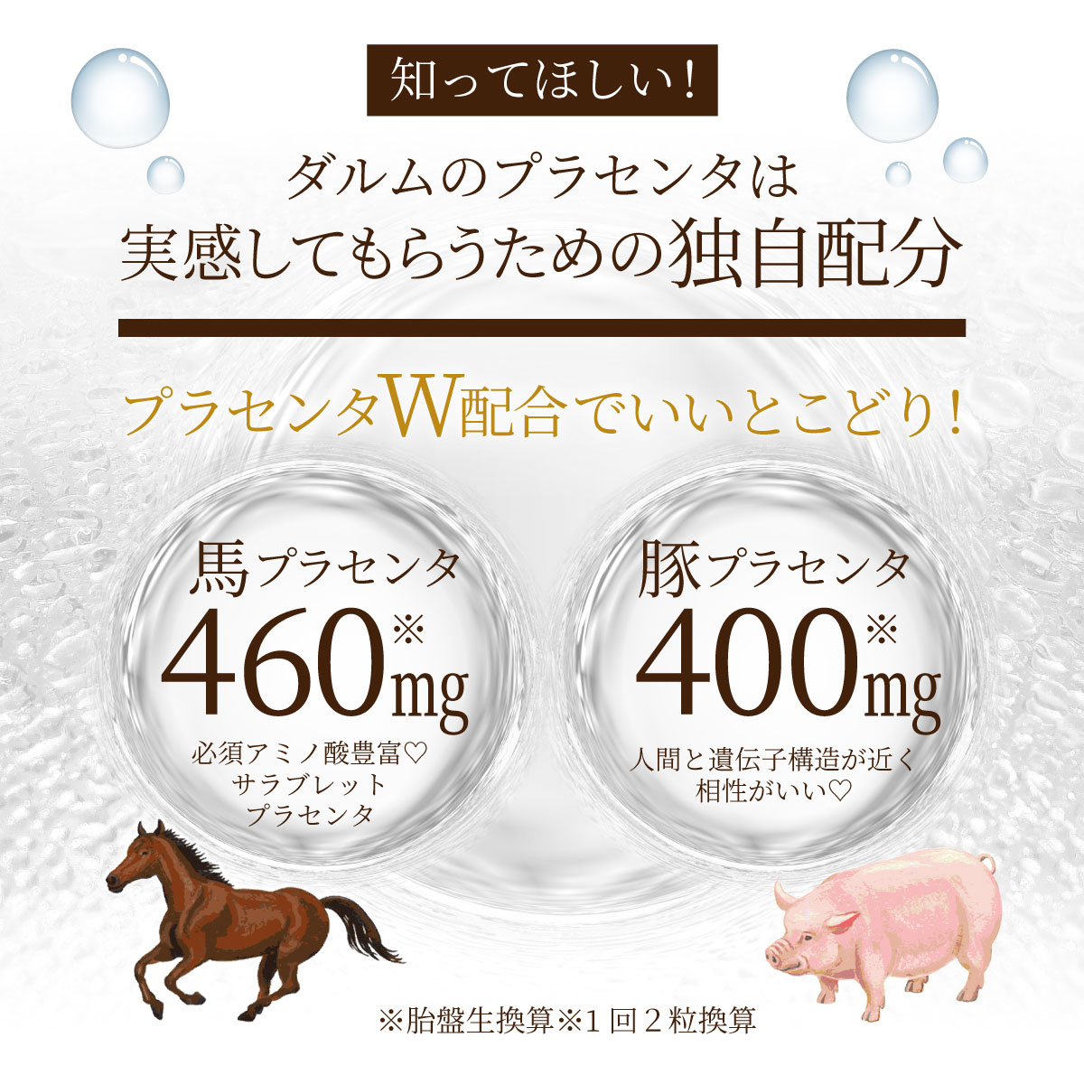 プラセンタ　馬プラセンタ　豚プラセンタ　胎盤　潤い　肌　シミ　しわ　ハリ　美容　エイジングケア　EGF