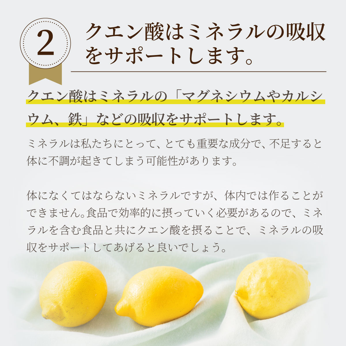 クエン酸　食用